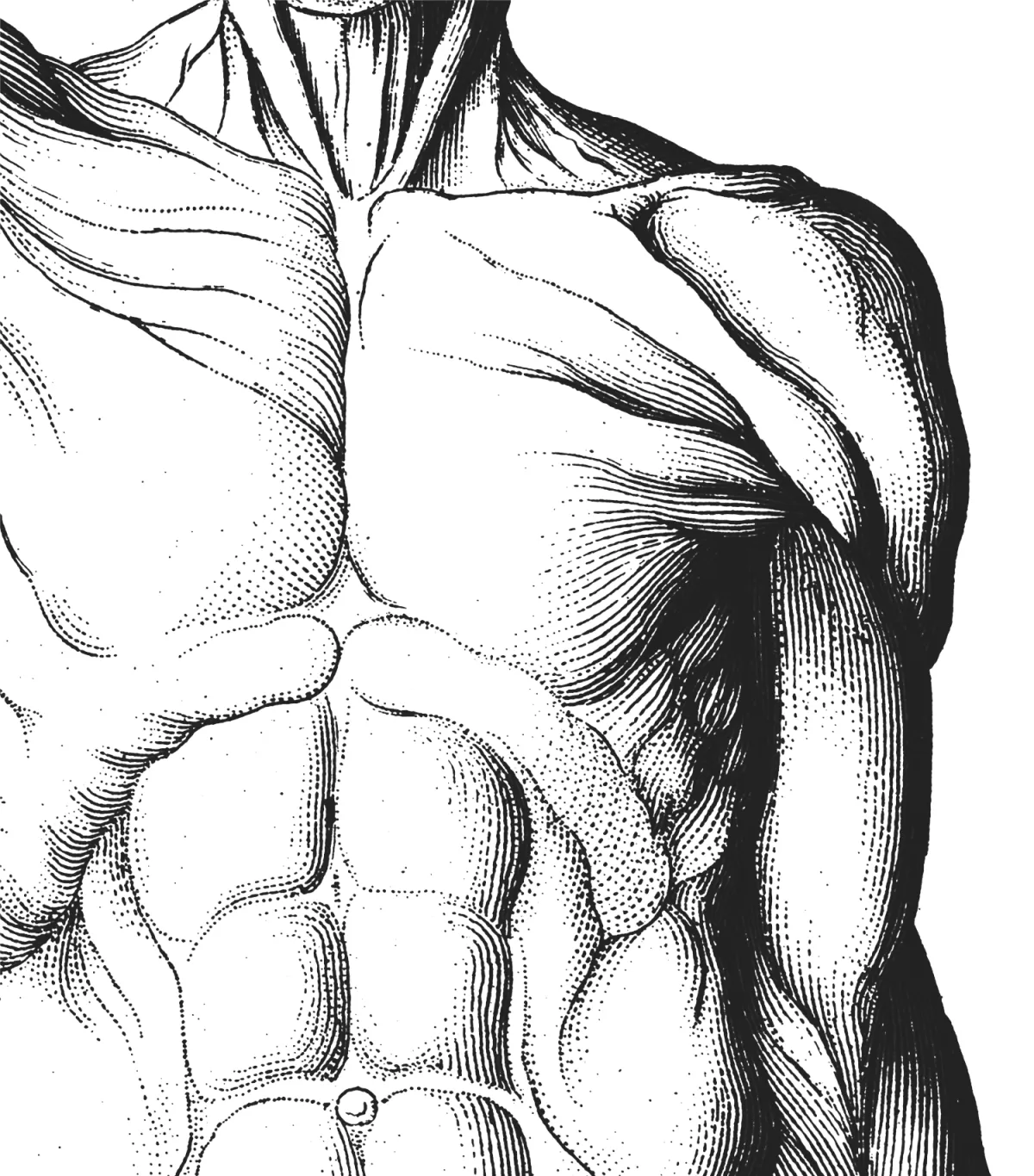 Physiotherapie Johannson - Physiotherapie Rezept für Krankengymnastik einlösen