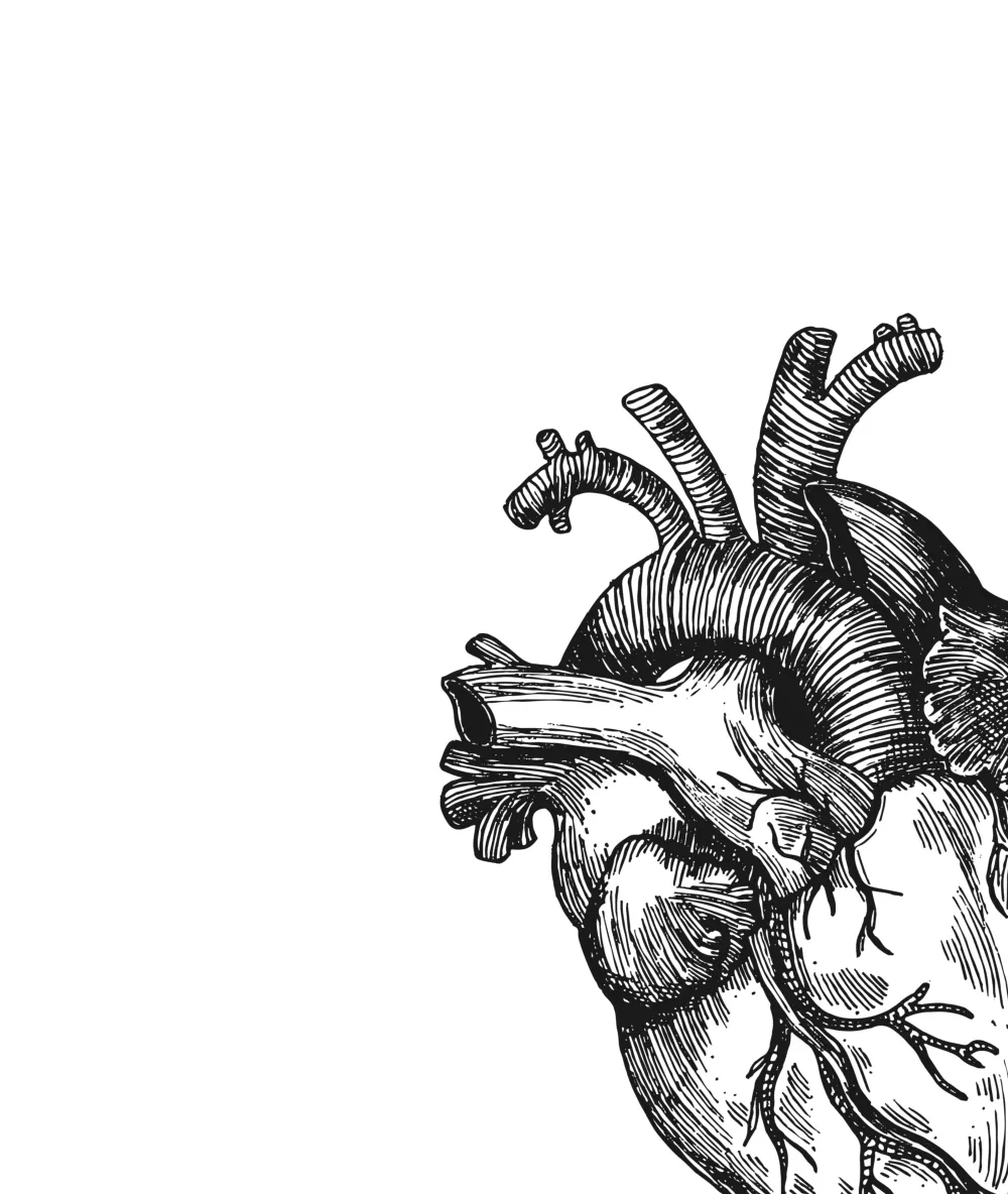 Physiotherapie Johannson - Physiotherapie Johannson für Steinbach, Oberursel und Eschborn